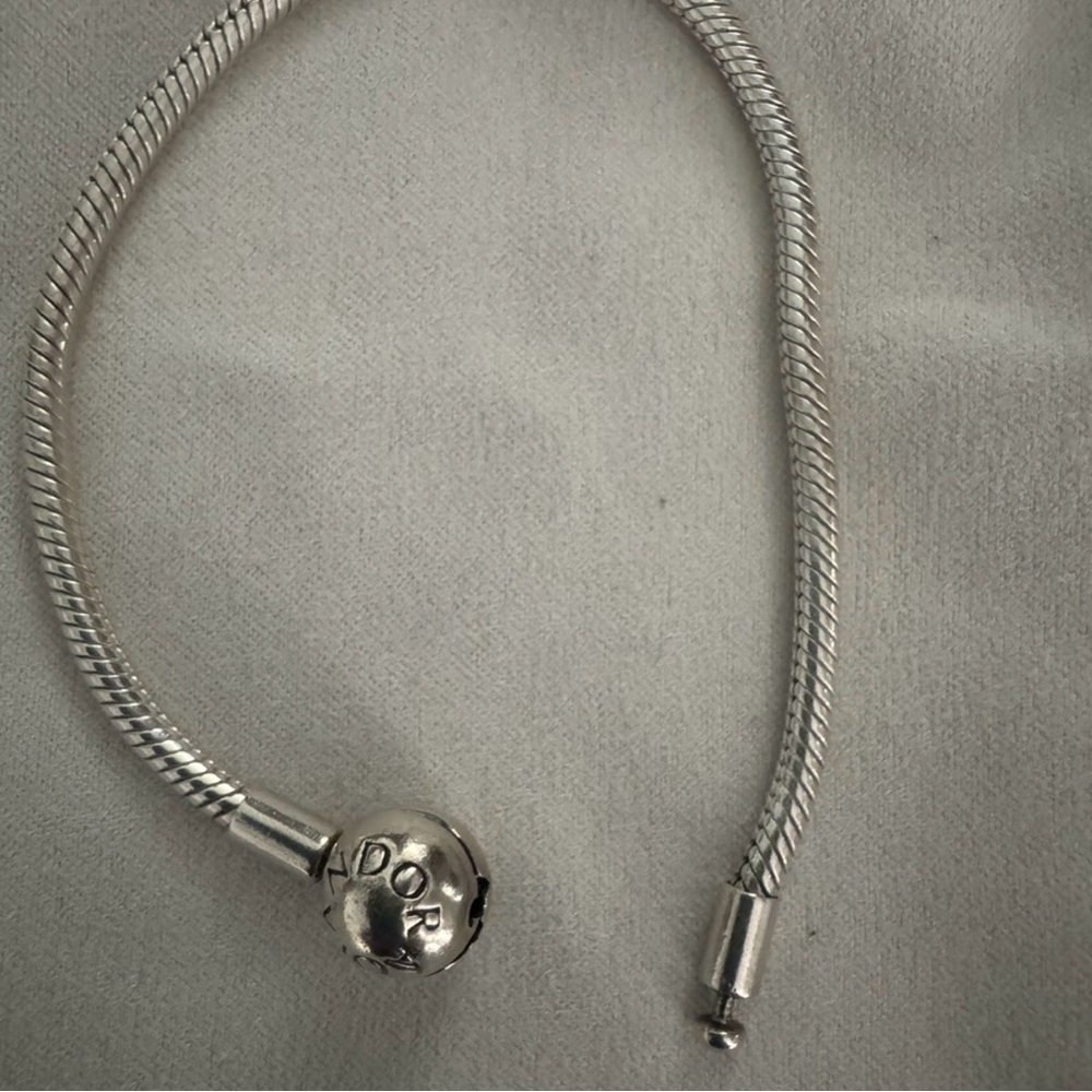 Pandora charm bracelet